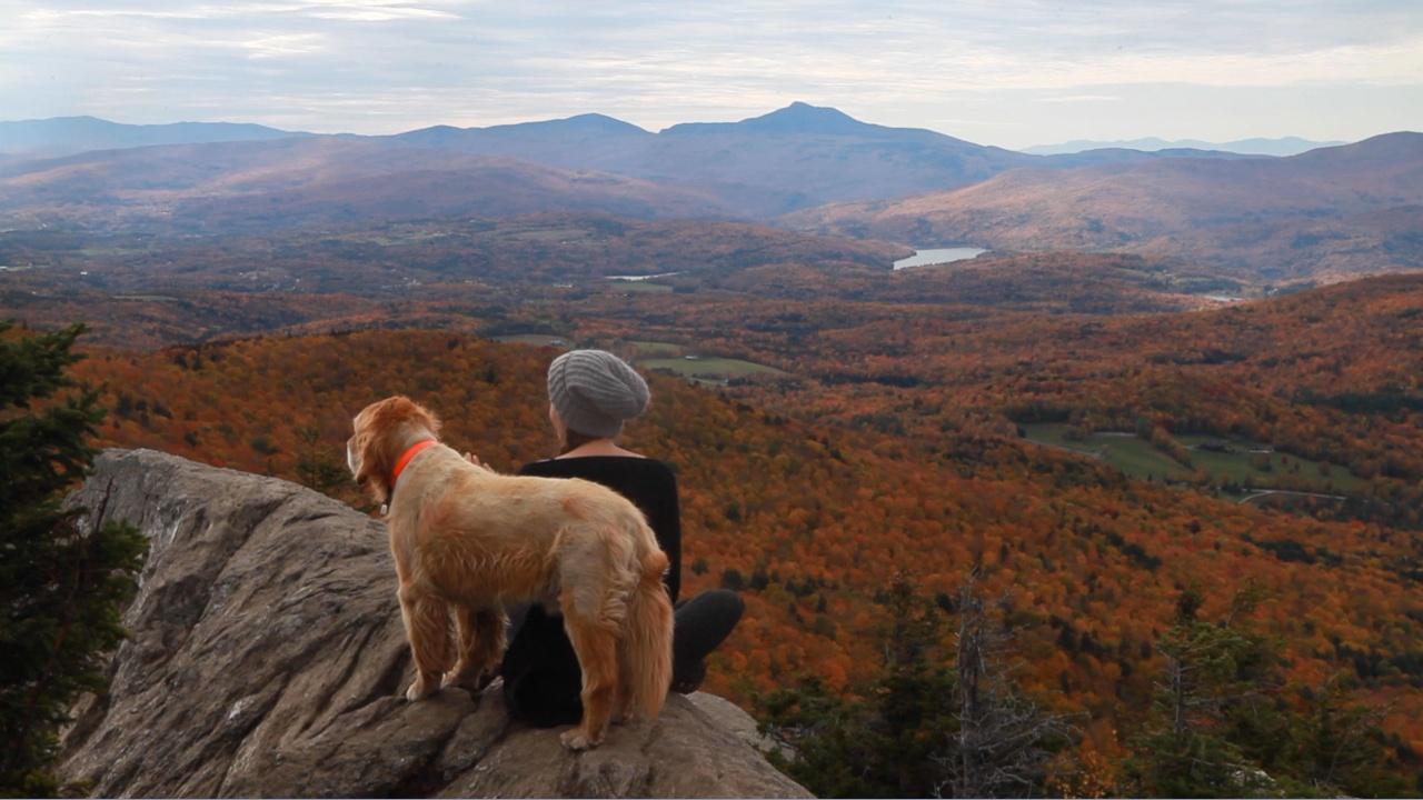 Made Here | The Mountain Dogs | Season 16 | Episode 6 | Vermont Public Made Here | The Mountain Dogs | Season 16 | Episode 6 | Vermont Public