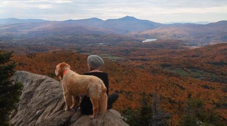 Video thumbnail: Made Here The Mountain Dogs