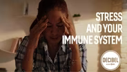 How Stress Affects Your Immunity