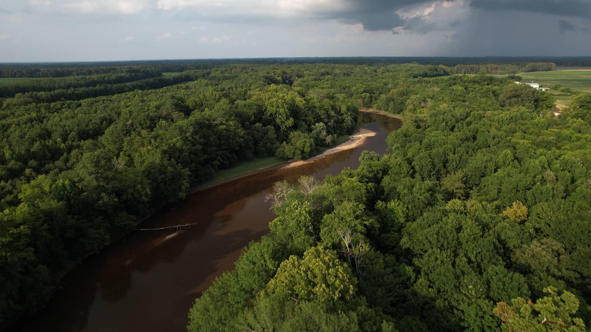 Resisting the Flood