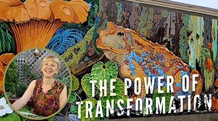 Video thumbnail: Northwest Profiles The Power of Transformation