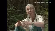Jane Goodall passes at 91