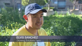 West Side Produce Farm Helps People with Autism Build Skills