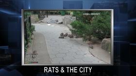 Video thumbnail: MetroFocus MetroFocus: September 10, 2019