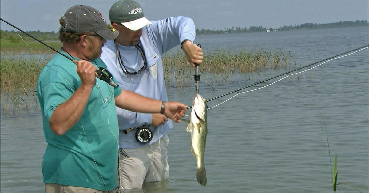 The Perfect Lure: Fishing deep - Anglers Journal - Anglers Journal - A  Fishing Life