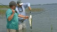 Fishing the Edge