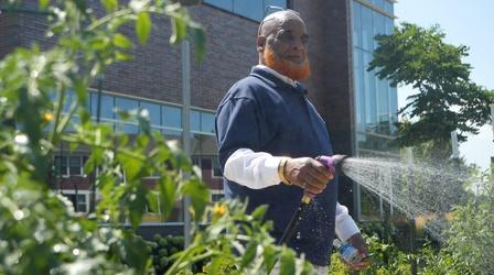 Video thumbnail: Compass A Cedar-Riverside community advocate: Dube Ganamo