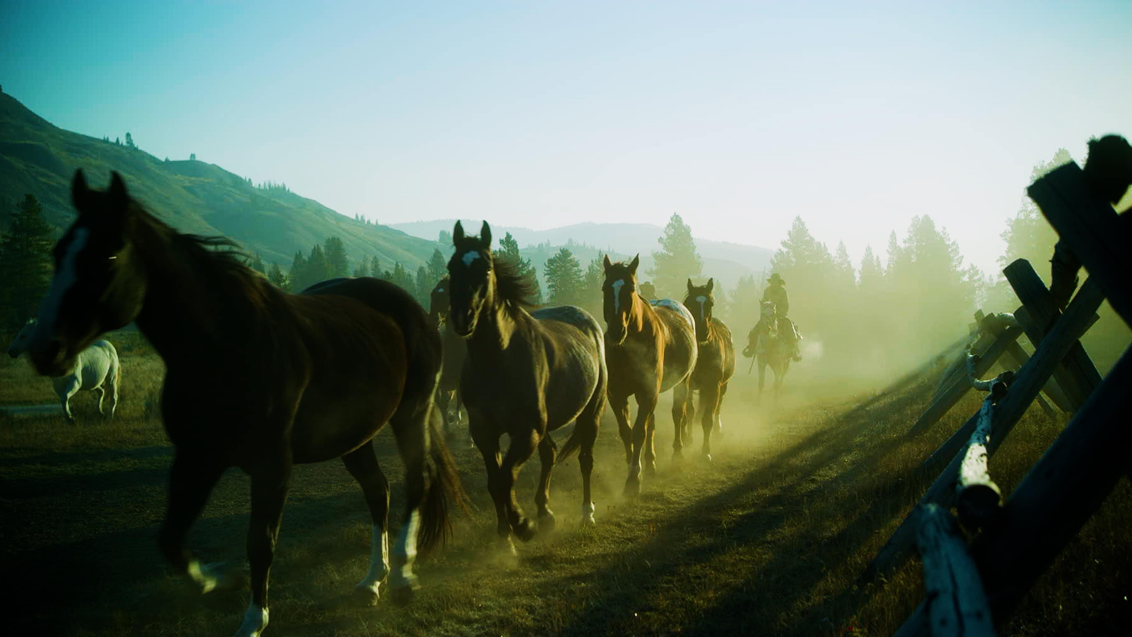 Traces the rise of the dude ranch, forging the bold spirit and identity of the American West.