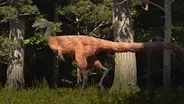 Did Eating Insects Shrink These Dinos?