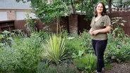 Garden Success with Less Water in Drought