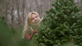 Welcome to My Winter Wonderland: asset-mezzanine-16x9