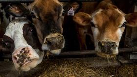 Video thumbnail: PBS NewsHour News Wrap: Senate passes farm bill after months-long stall