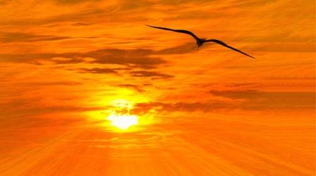 Video thumbnail: Our Land: New Mexico’s Environmental Past, Present and Future Heat Waves and Bird Deaths