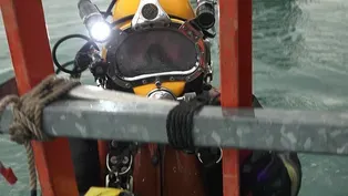 Mussel Blasting