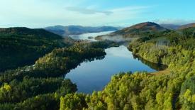 The Creation of 'Trees for Life' to Rewild Scotland: asset-mezzanine-16x9