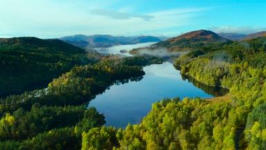 The Creation of 'Trees for Life' to Rewild Scotland