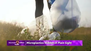 Uncovering the Dangers of Microplastics