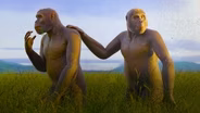 Our Most Mysterious Extinct Cousins