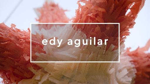 Monograph : Edy Aguilar