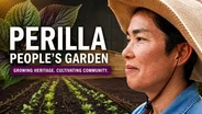 Perilla People's Garden: Growing Heritage and Cultivating Community