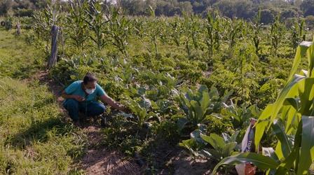 Video thumbnail: Must See VT PREVIEW: New Farms for New Americans