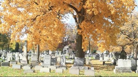 Video thumbnail: People & Places A Walk Through Mount Hope Cemetery