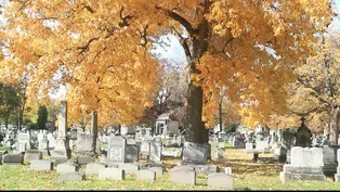 A Walk Through Mount Hope Cemetery