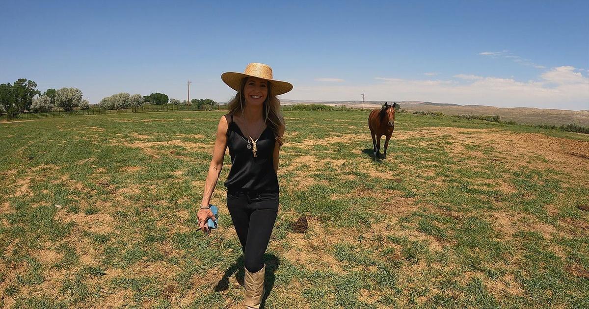 Wild Rivers with Tillie The Yampa River Enough Water to go Around