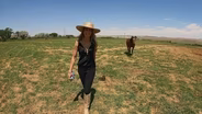 The Yampa River - Enough Water to go Around?