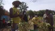 Green Opportunities for a New Generation of Watts Youth