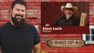 Steve Lucie