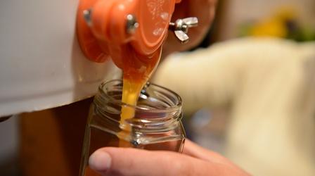 Video thumbnail: Making It Celebrating Jewish community with honey from Bee Awesome