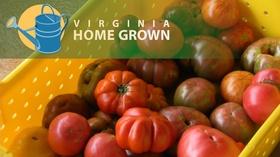Video thumbnail: Virginia Home Grown Tufton Farm: Heritage Crops