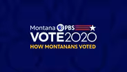 Analyzing the 2020 Election