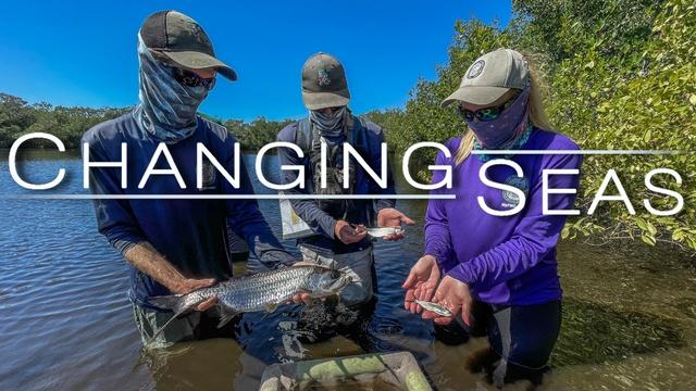 Habitats: The Key to Florida's Fisheries