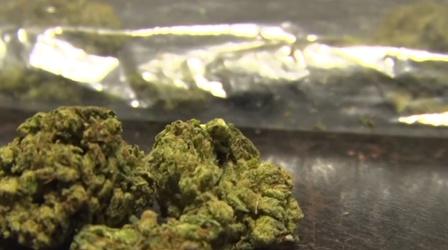 New bill would implement marijuana education in schools