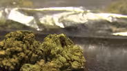New bill would implement marijuana education in schools