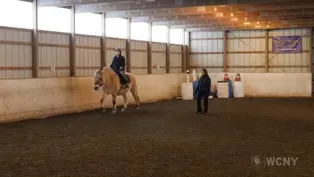 Horses 4 Health