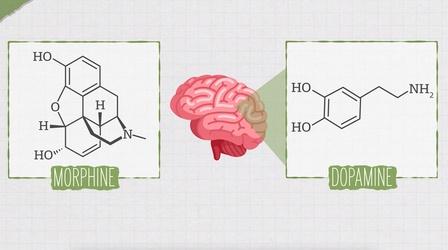 Video thumbnail: Reactions Can Science Make Less Addictive Opioids?