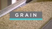 Best of Feast TV: Grain