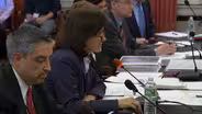 Acting treasurer defends budget before Assembly committee