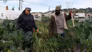 Dig Deep Farms