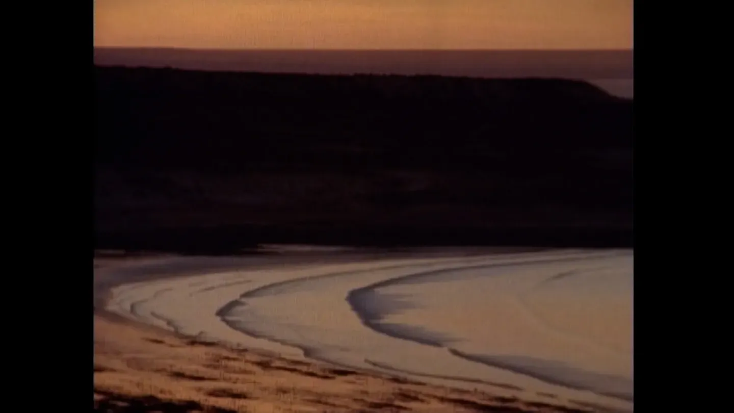 Wild Shores of Patagonia