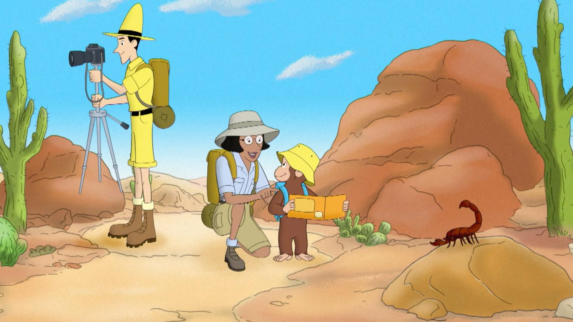 George of the Desert/The Texture Game