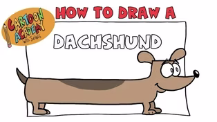 Dachshund