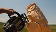 Chainsaw Art