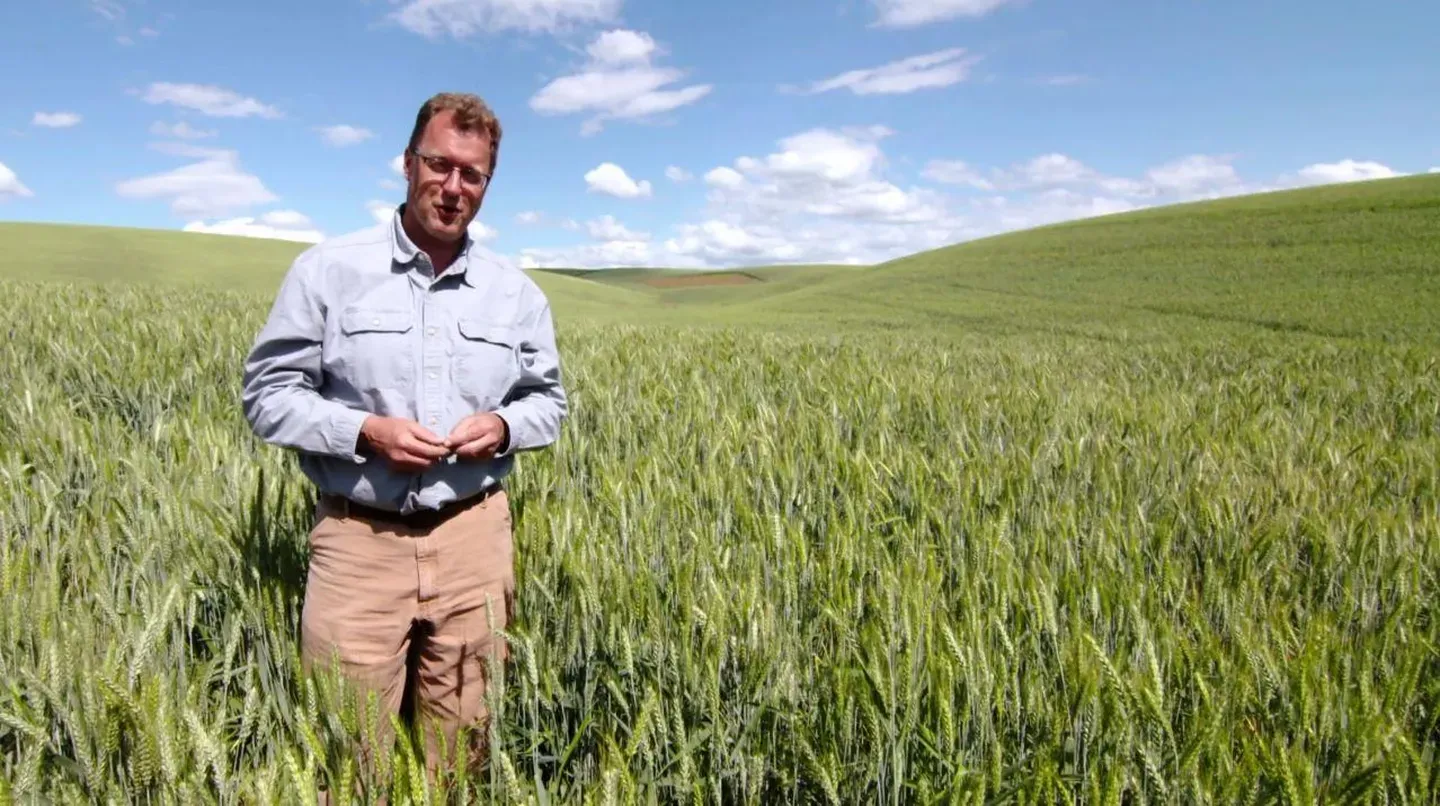 Goldilocks Miracle of the Palouse