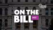 On The Bill: Peace Officer Status