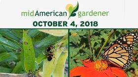 Video thumbnail: Mid-American Gardener October 4, 2018 - Mid-American Gardener