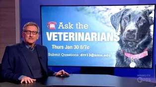 Ask the Veterinarians Returns 1/30